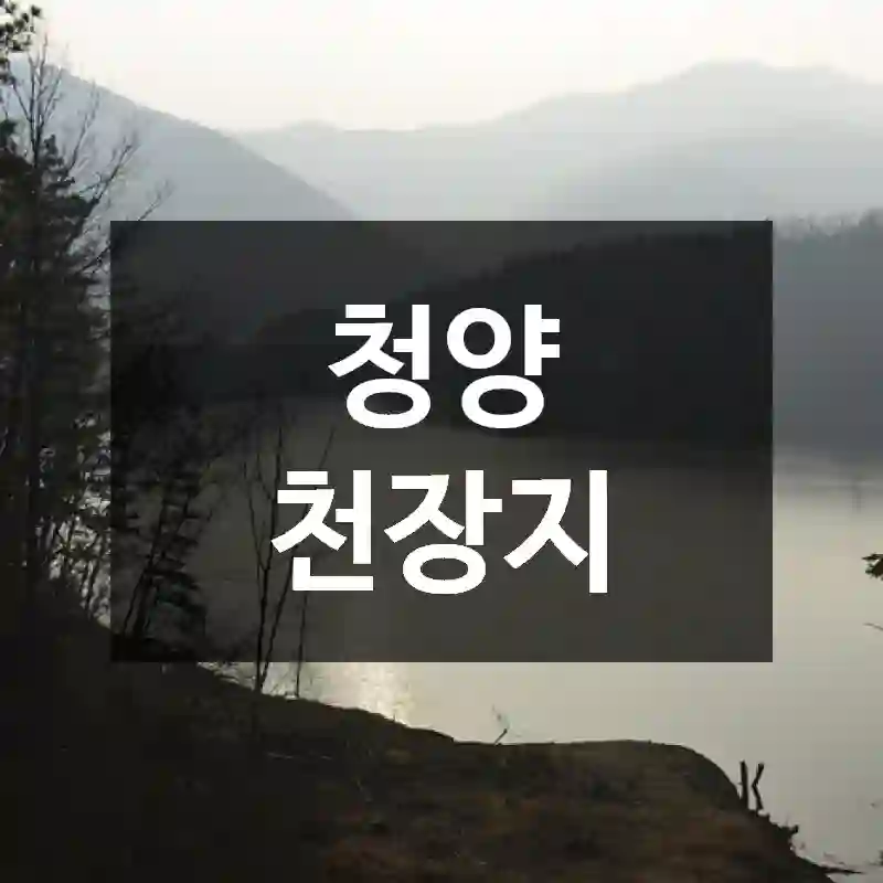 청양 천장지