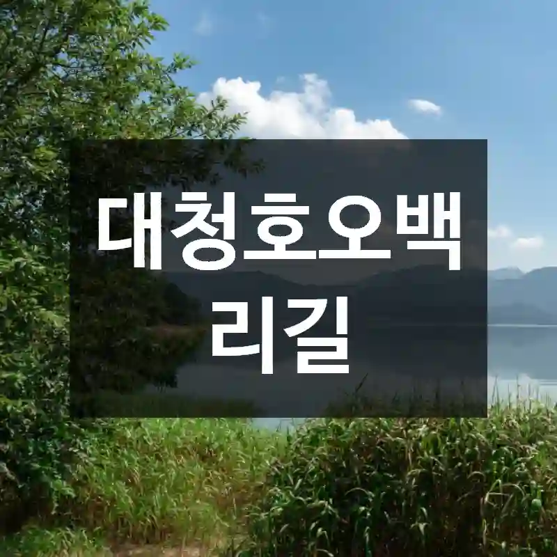대청호오백리길