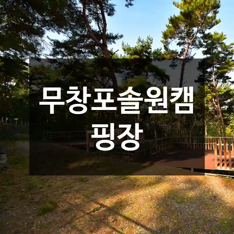 무창포솔원캠핑장