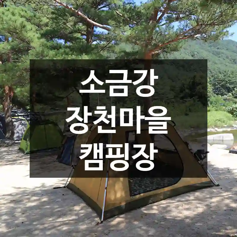 소금강 장천마을 캠핑장