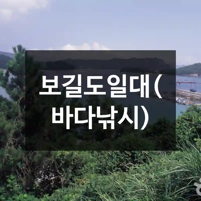 보길도일대(바다낚시)