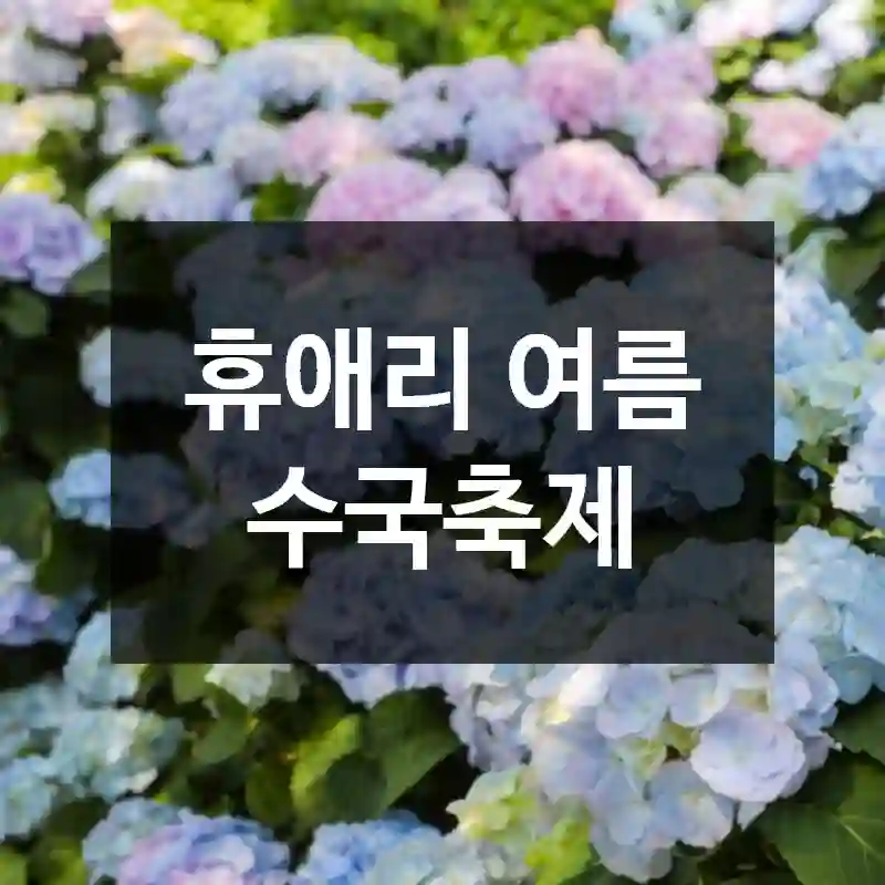 휴애리 여름 수국축제