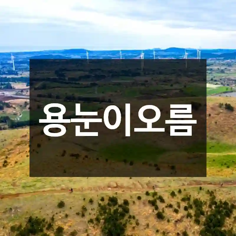 용눈이오름