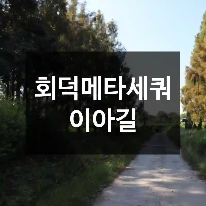 회덕메타세쿼이아길