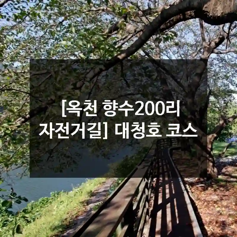 [옥천 향수200리 자전거길] 대청호 코스