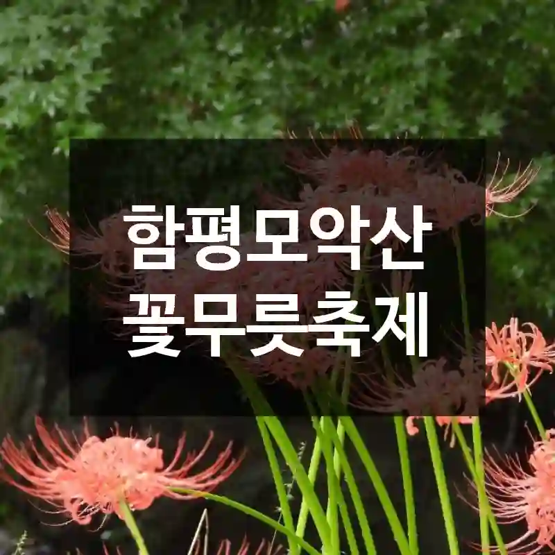함평모악산 꽃무릇축제
