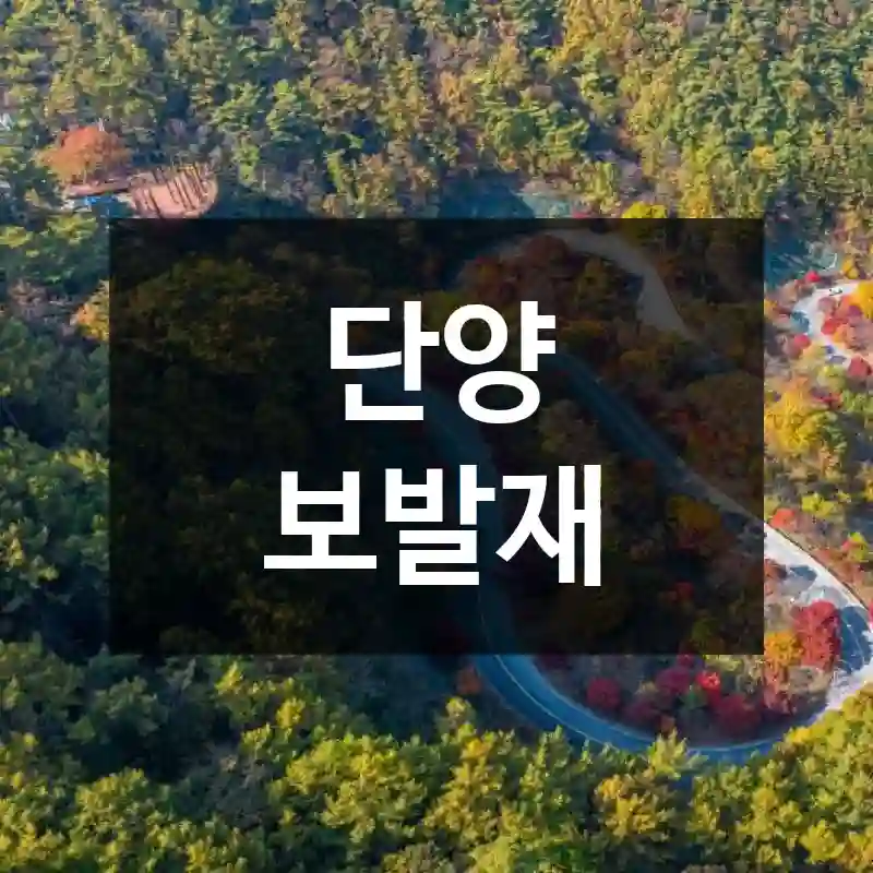단양 보발재