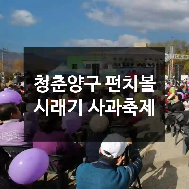 청춘양구 펀치볼 시래기 사과축제