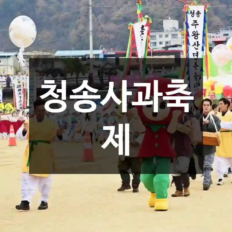 청송사과축제