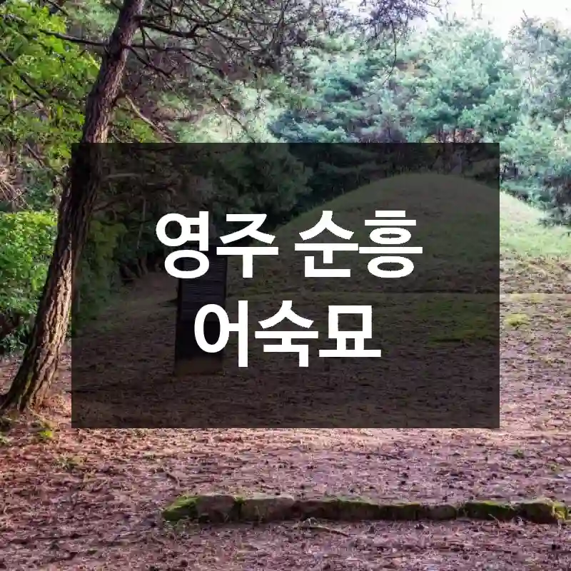 영주 순흥 어숙묘