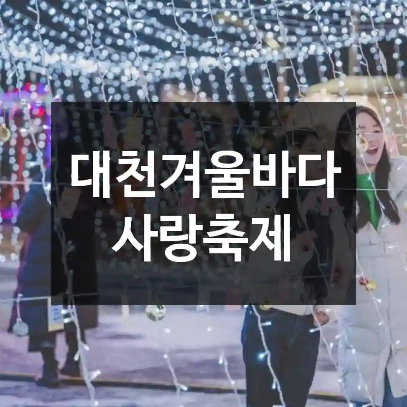 대천겨울바다사랑축제