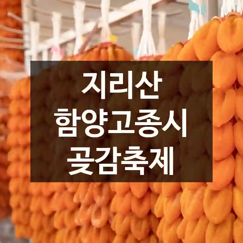 지리산 함양고종시 곶감축제