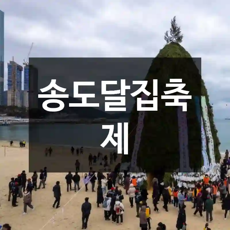 송도달집축제