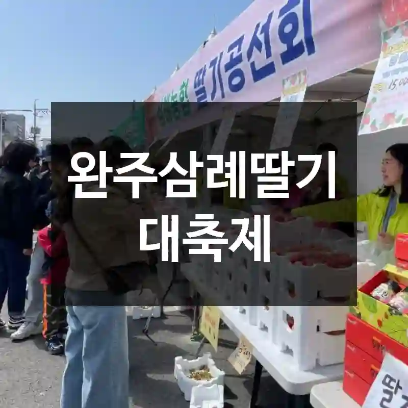 완주삼례딸기대축제