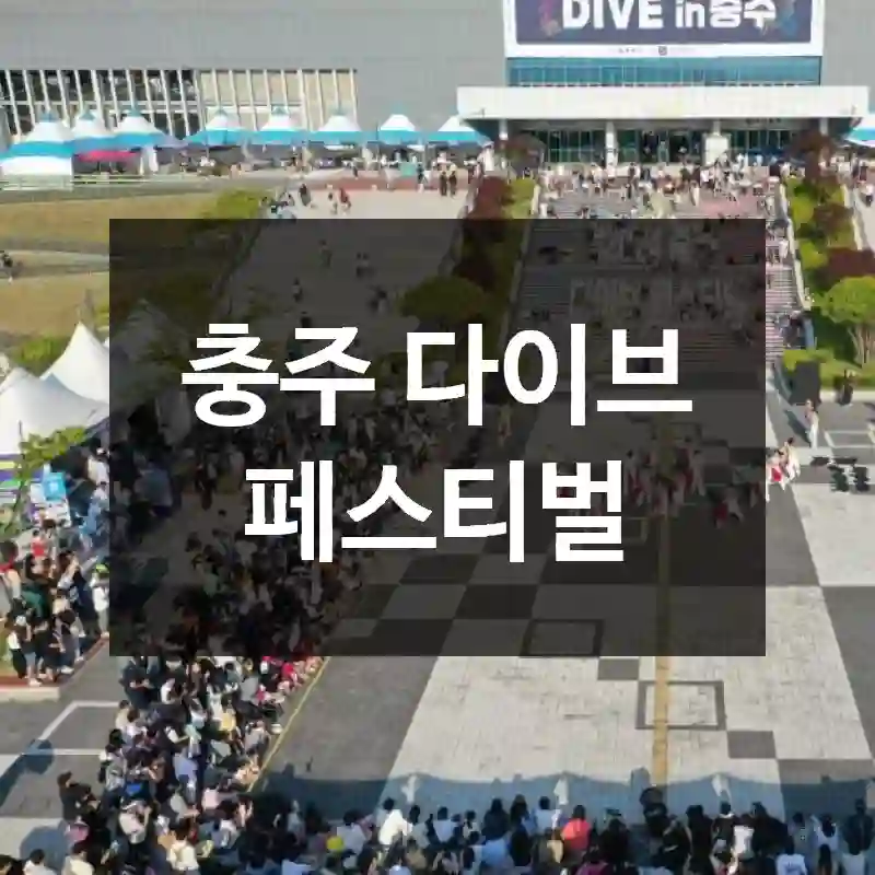 충주 다이브 페스티벌