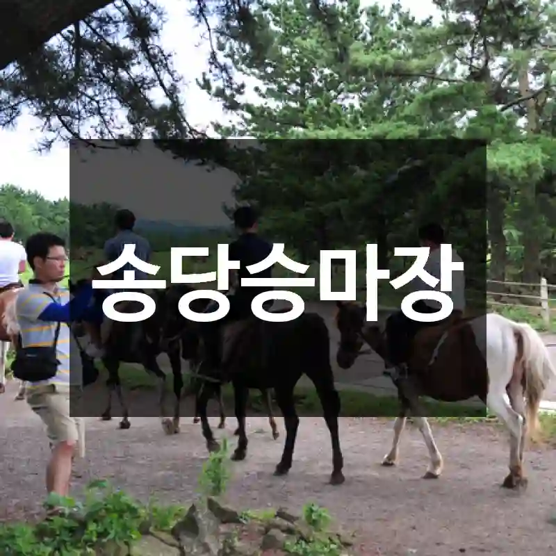 송당승마장