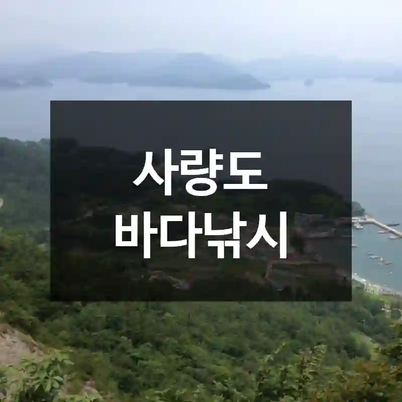 사량도 바다낚시