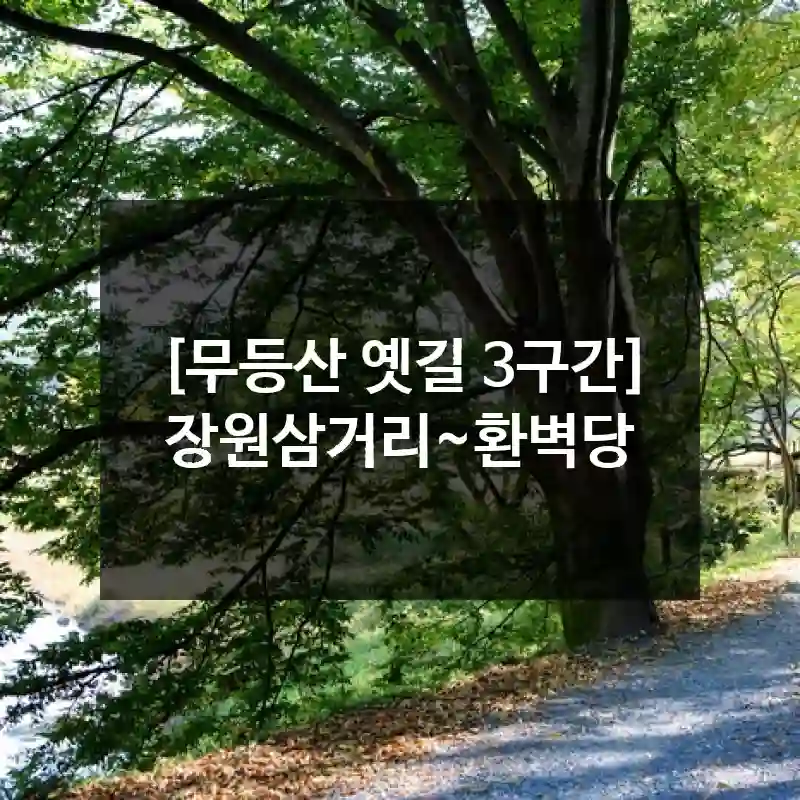 [무등산 옛길 3구간] 장원삼거리~환벽당