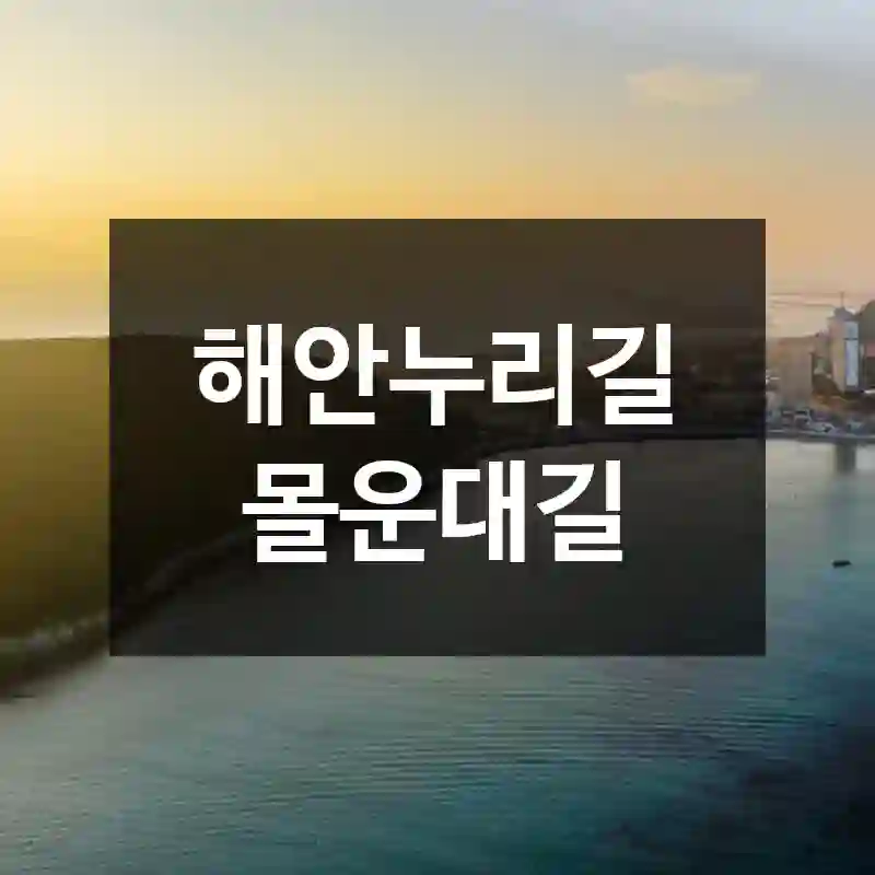 해안누리길 몰운대길
