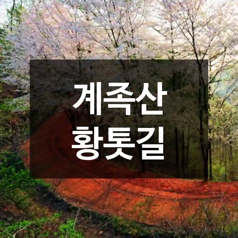 계족산 황톳길