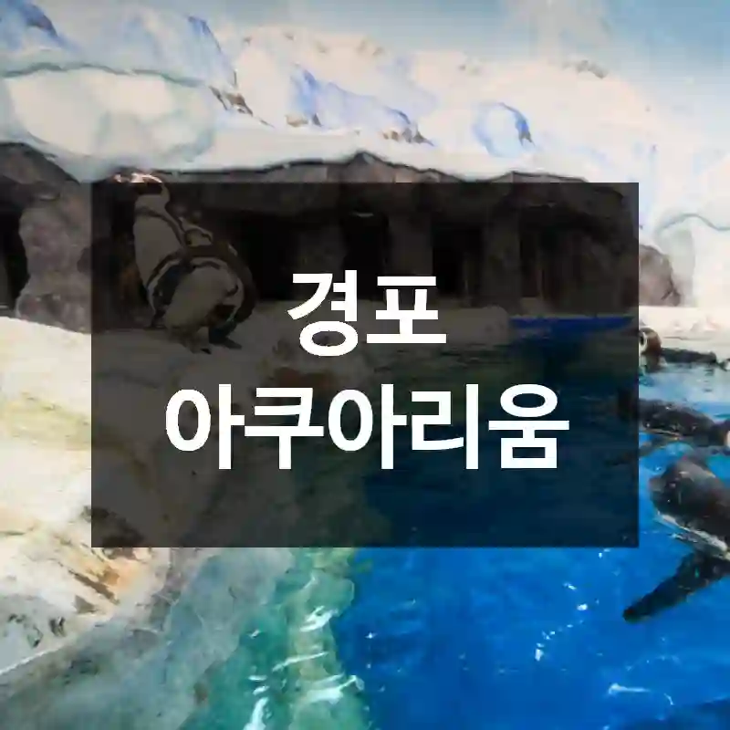 경포 아쿠아리움