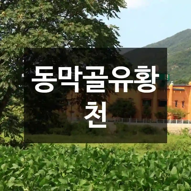 동막골유황천
