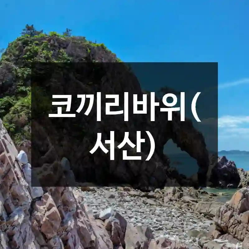 코끼리바위(서산)