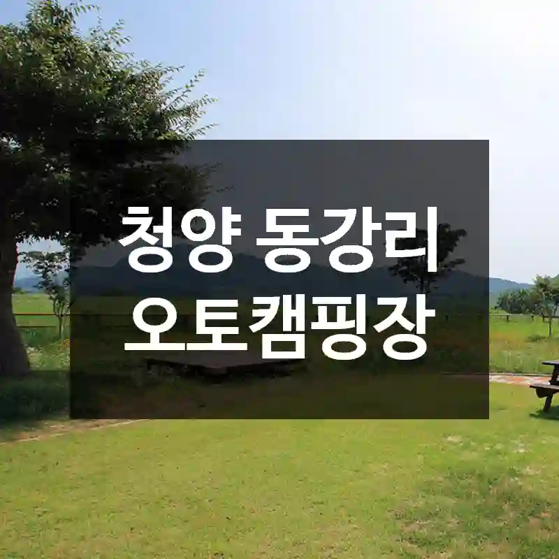청양 동강리 오토캠핑장