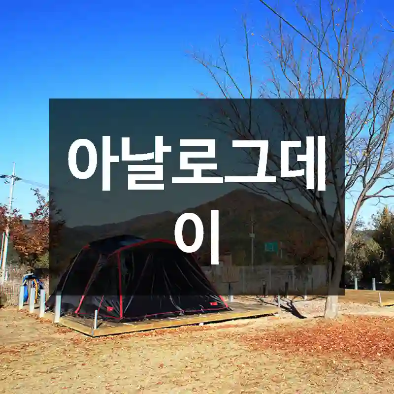 아날로그데이