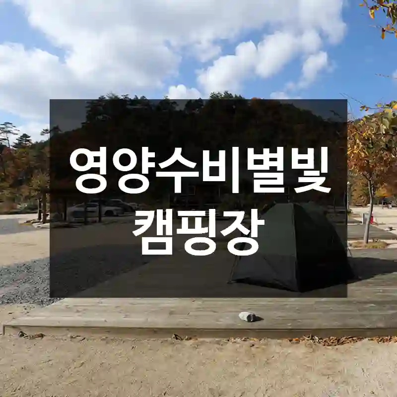 영양수비별빛캠핑장