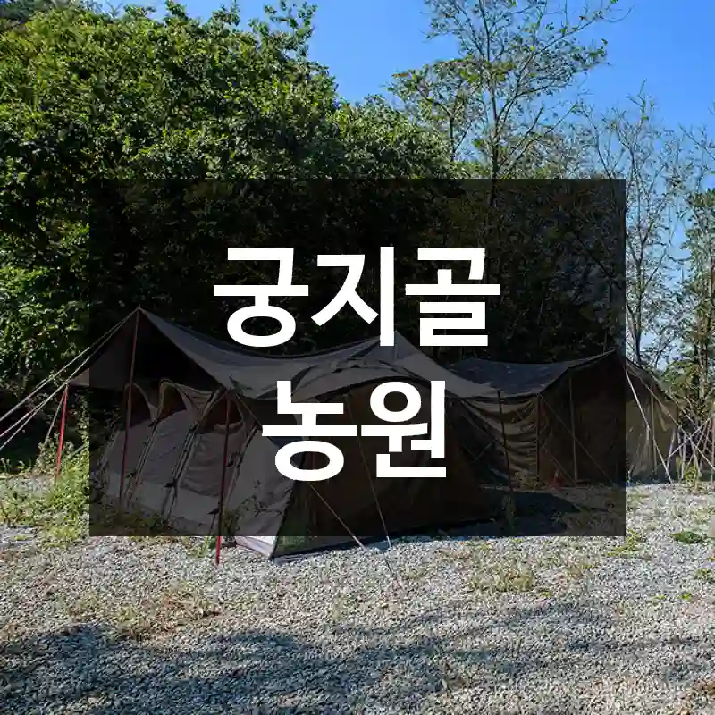 궁지골 농원