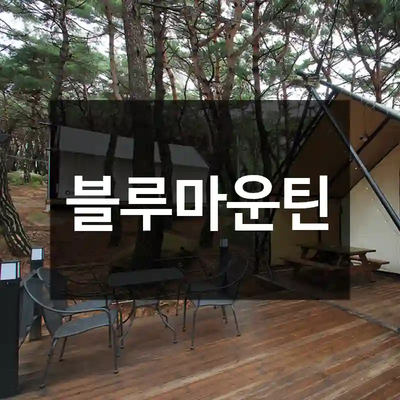 블루마운틴