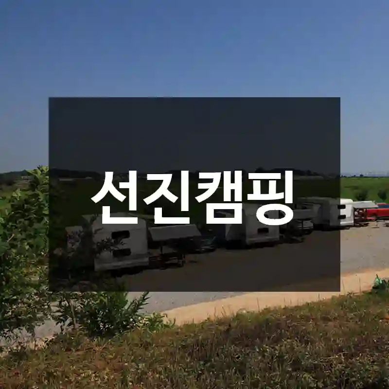 선진캠핑