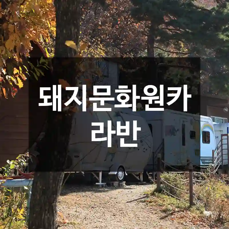 돼지문화원카라반