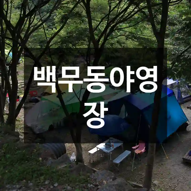 백무동야영장