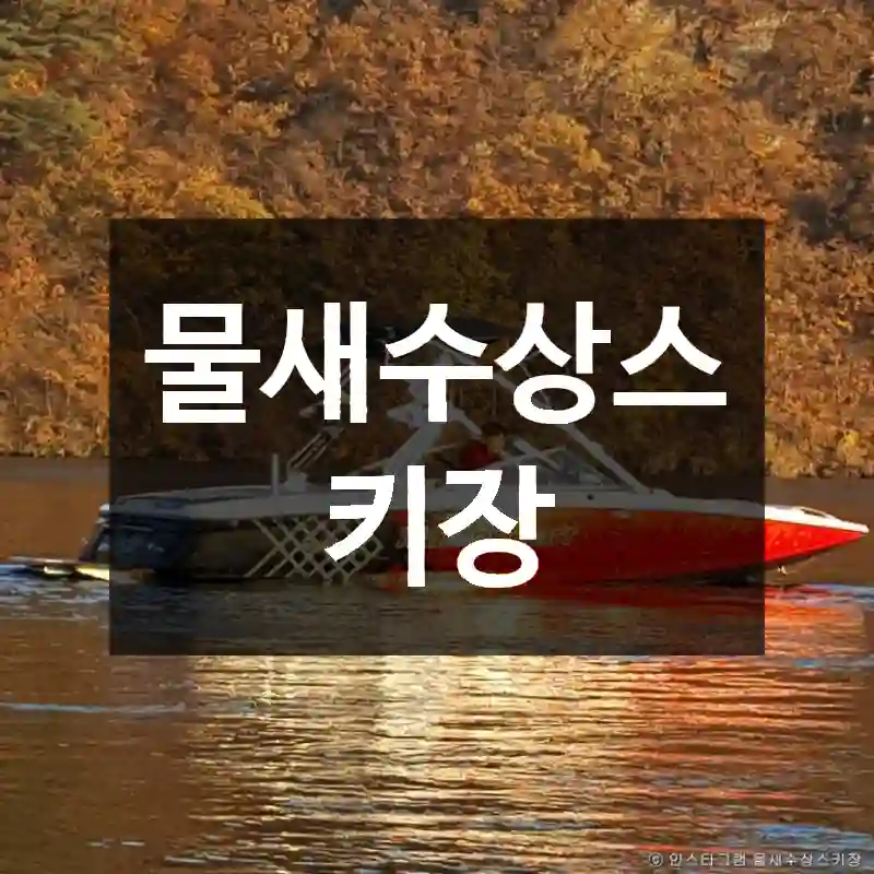 물새수상스키장