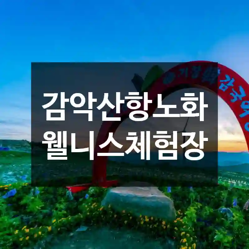 감악산항노화웰니스체험장