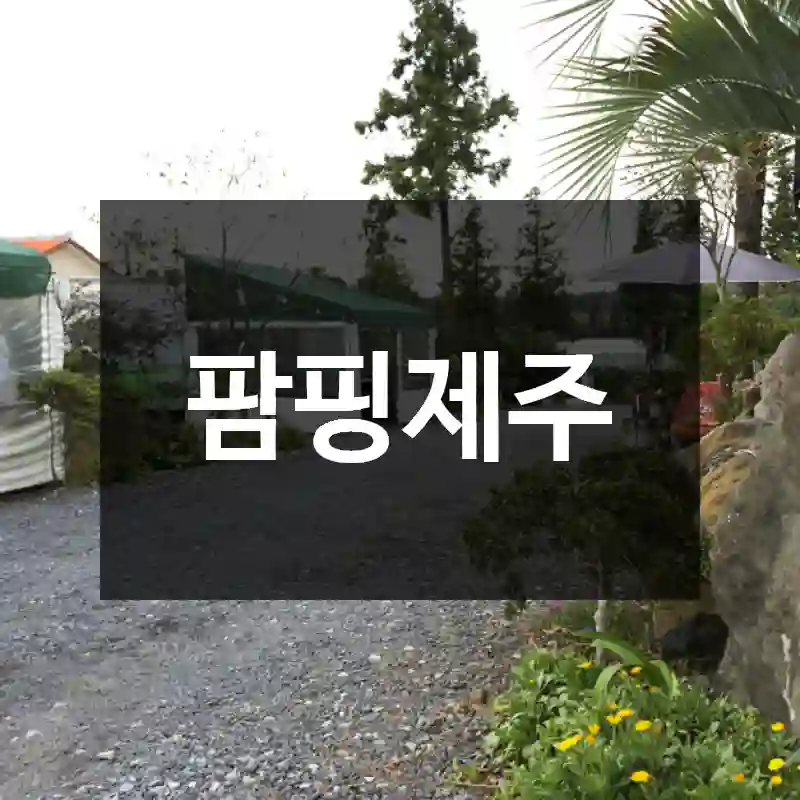 팜핑제주