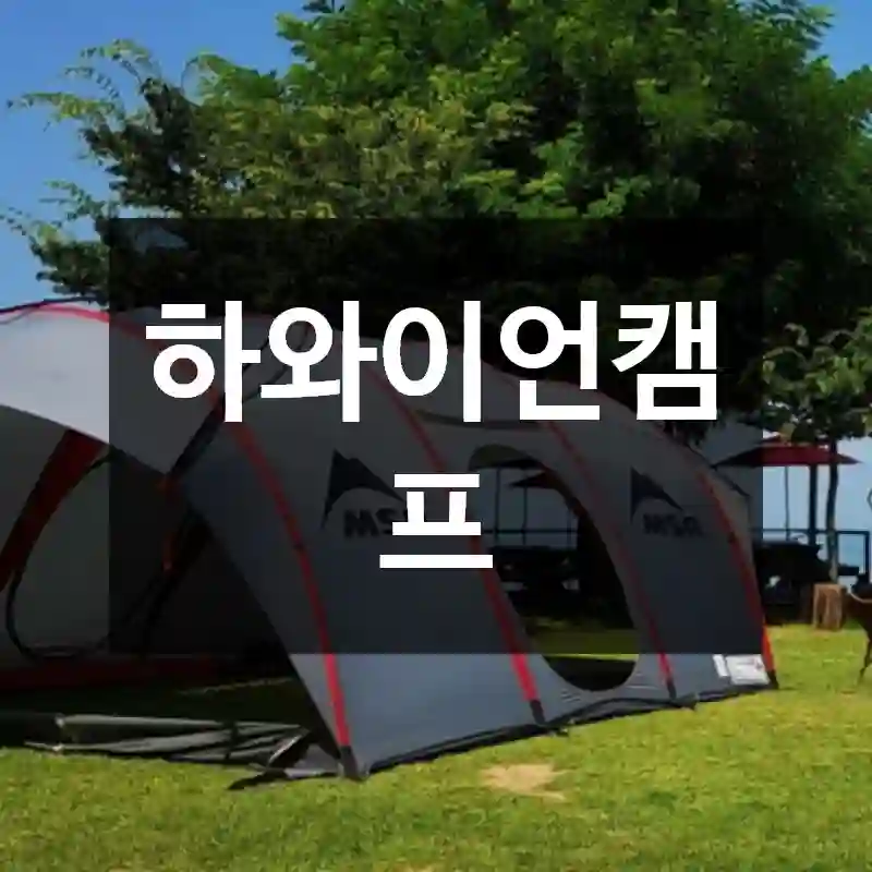 하와이언캠프