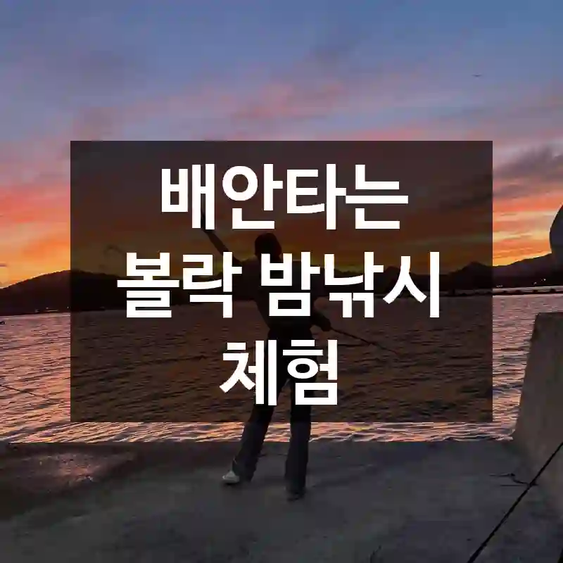 배안타는 볼락 밤낚시 체험