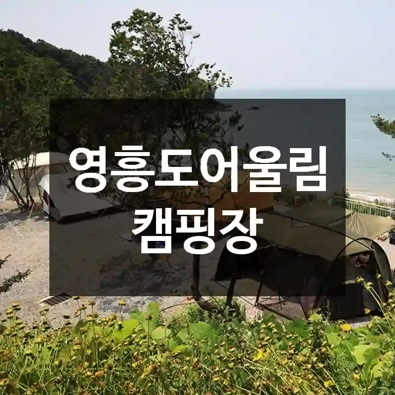 영흥도어울림캠핑장
