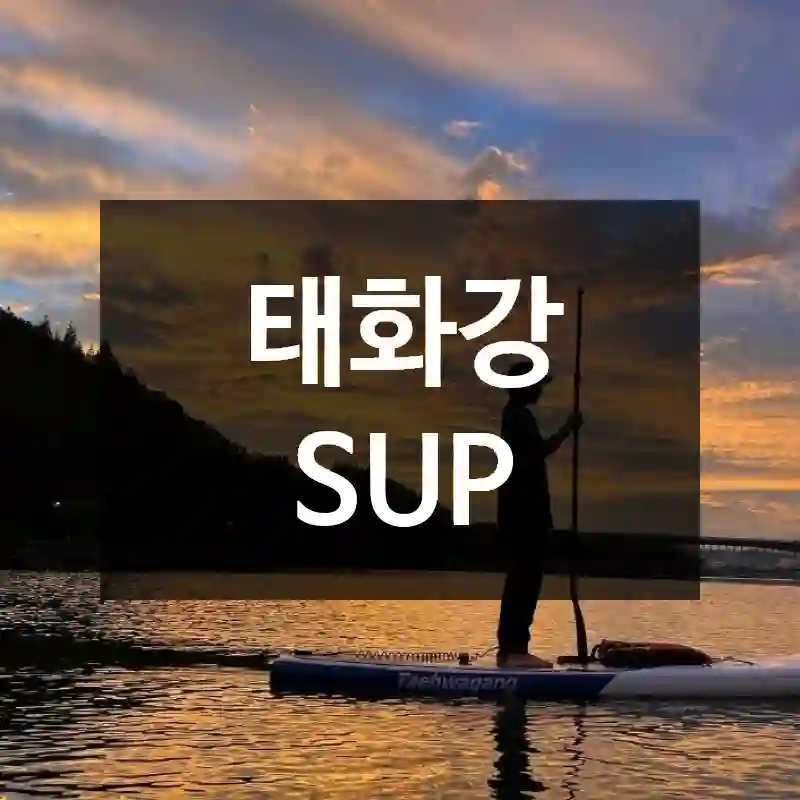 태화강 SUP