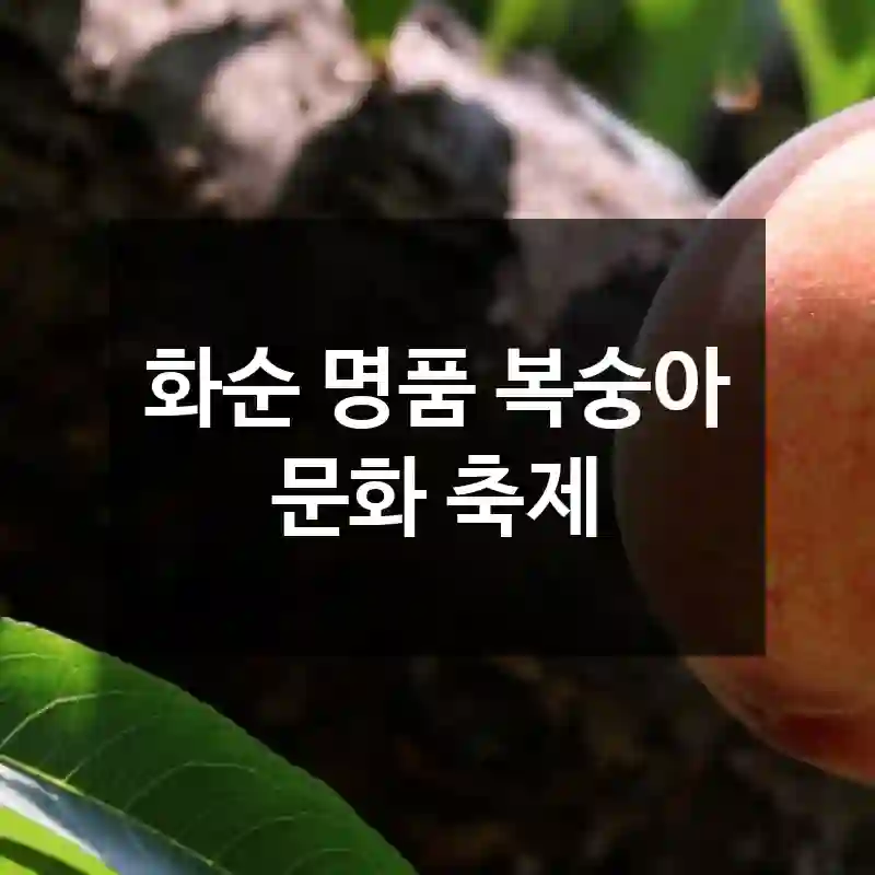 화순 명품 복숭아 문화 축제