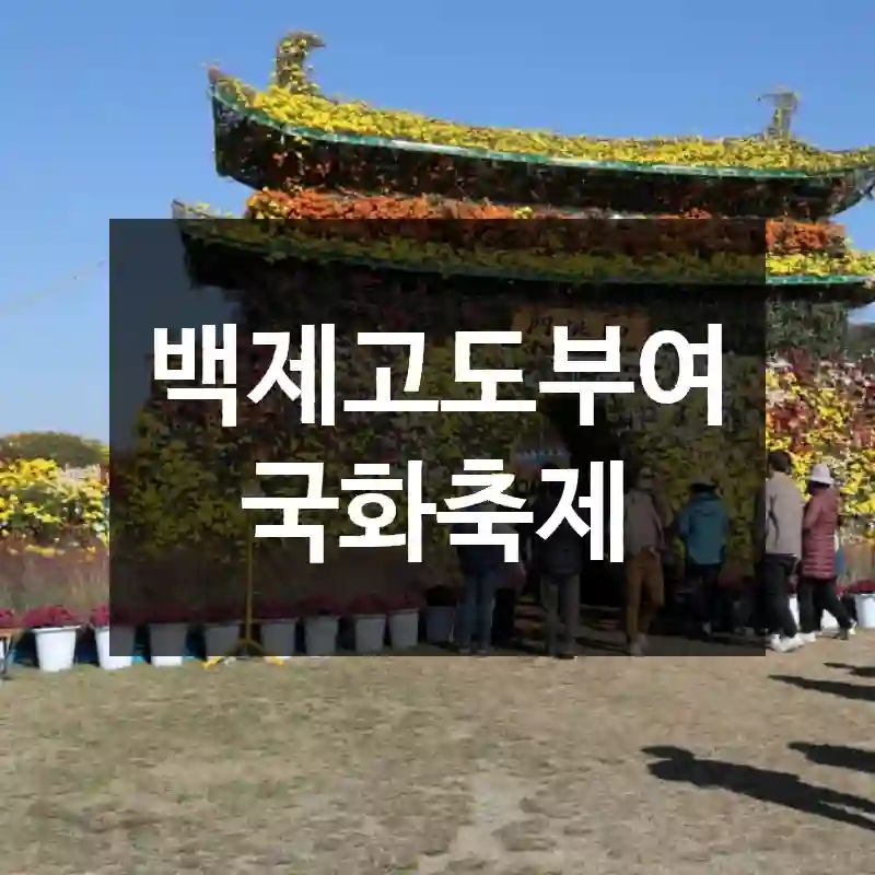 백제고도부여국화축제