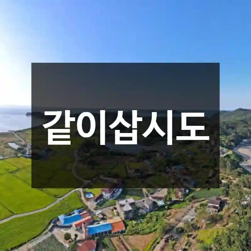 같이삽시도