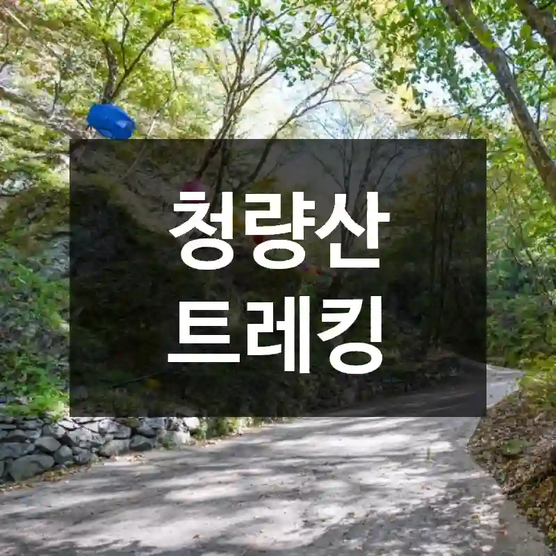청량산 트레킹