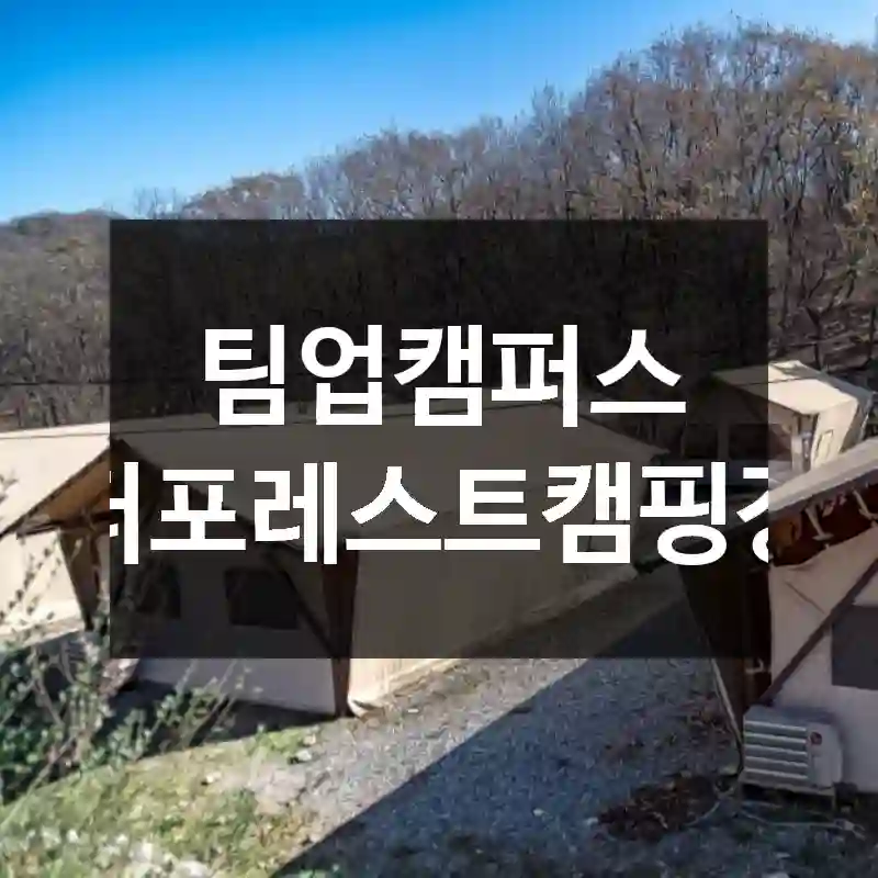 팀업캠퍼스 더포레스트캠핑장