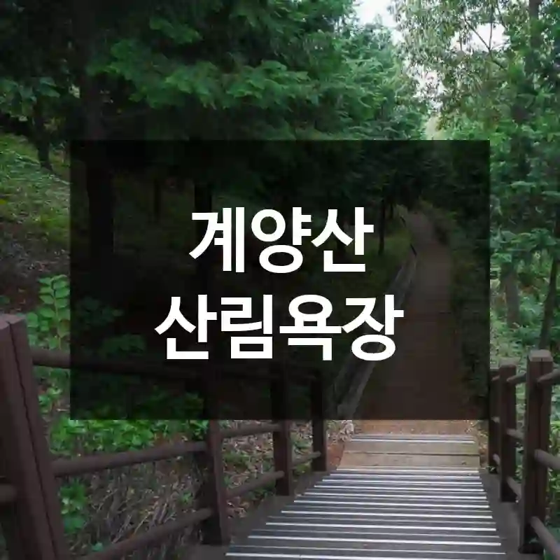 계양산 산림욕장
