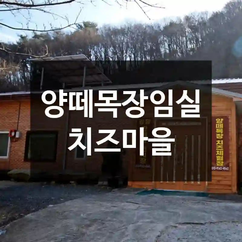 양떼목장임실치즈마을