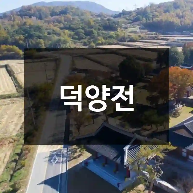 덕양전